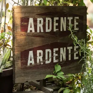 Ardente Pedregal  9