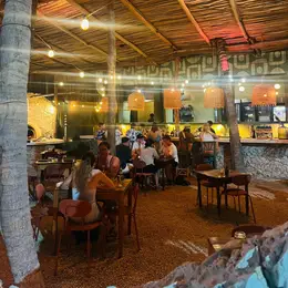 Tierrasal Holbox - foto 3