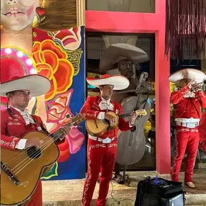 Rosa Mezcal Cartagena 4