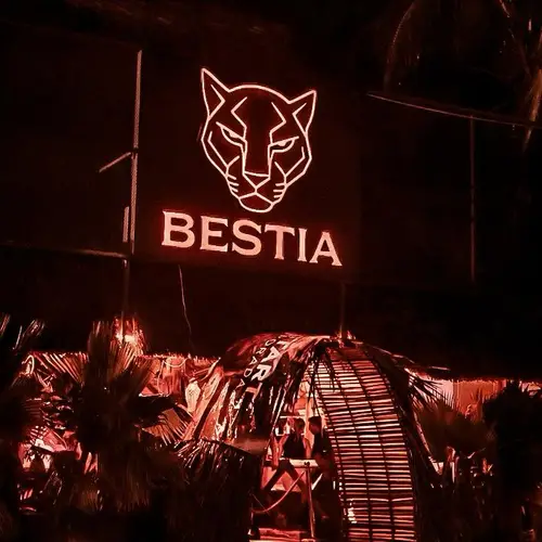 BESTIA Bar Instintivo Zicatela - foto 1