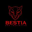 BESTIA Bar Instintivo Zicatela
