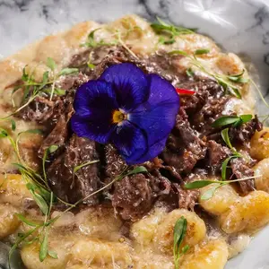 Restaurante Spencer Insurgentes 8