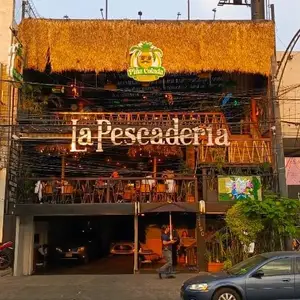 Piña Colada Coapa  5