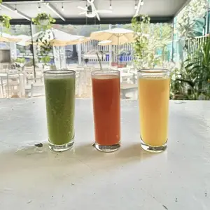 Jardín Queso Guadalajara 9