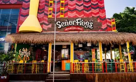 Señor Frog's Playa del Carmen 5ta y 8va