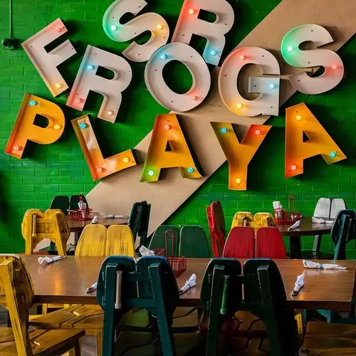 Señor Frog's Playa del Carmen 5ta y 8va - foto 4