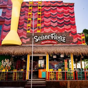 Señor Frog's Playa del Carmen 5ta y 8va 7