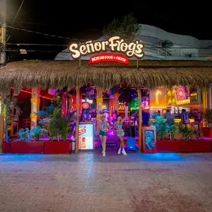 Señor Frog's Quinta Avenida 3