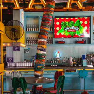 Señor Frog's Quinta Avenida 7