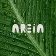 Areia Isla Mujeres - Restaurant & Beach Club