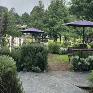Restaurant Don Petro Tlalpan 9