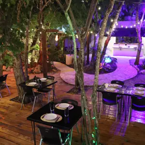 La Paskana Bar & Grill Playa del Carmen 5