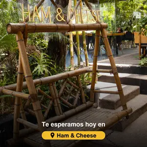Ham and Cheese Aguascalientes 8