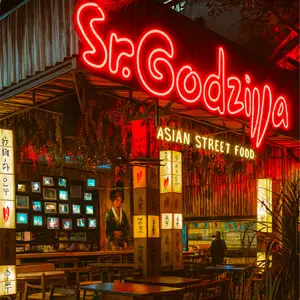 Sr. Godzilla Playa del Carmen 1