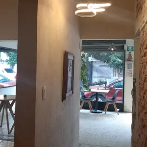 Lucrecia Coyoacán 9