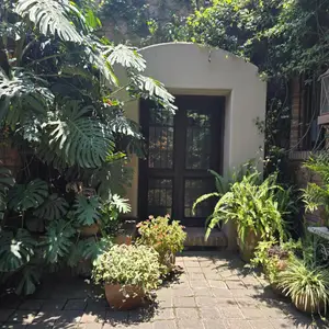 Casa Aurea Morelia 9