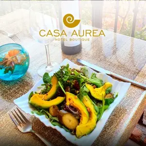 Casa Aurea Morelia 8