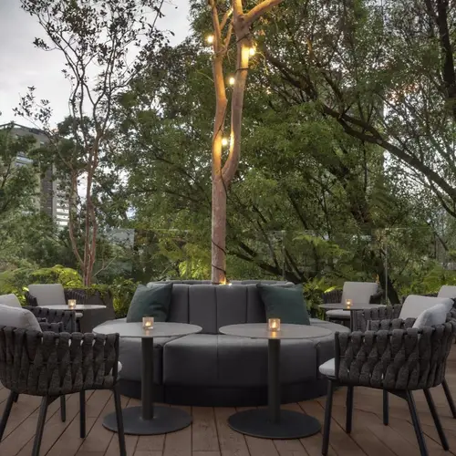 La Caña Rooftop Polanco - foto 4