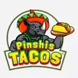 Pinshis Tacos Holbox