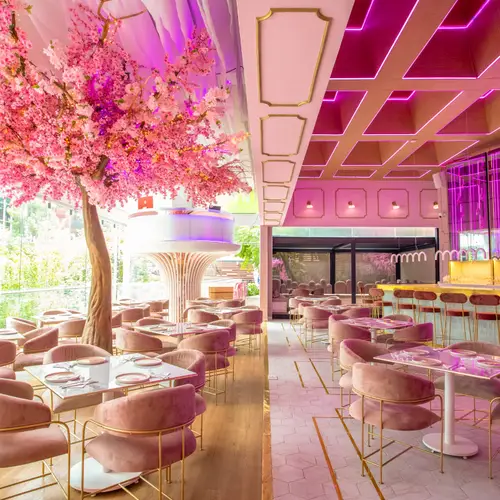Pinky Room CDMX - foto 1