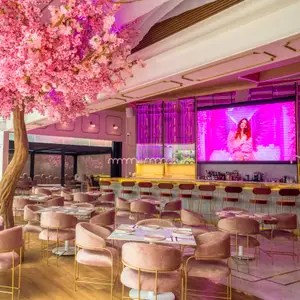 Pinky Room CDMX 7
