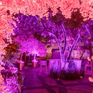 Pinky Room CDMX 9