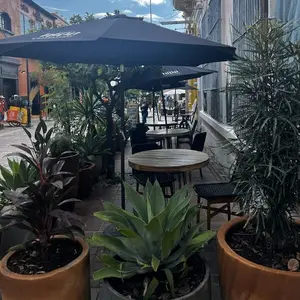 Agave Restaurante & Bar Tlaquepaque 7
