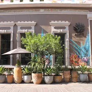 Agave Restaurante & Bar Tlaquepaque 1