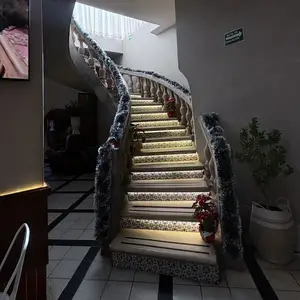 Despídete Bonito Tlaquepaque 7