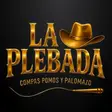 La Plebada Bar Insurgentes