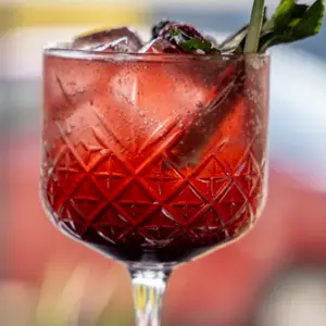 La Terna Comedor & Tragos Atotonilco 7