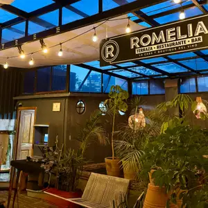 BAR ROMELIA CDMX 7