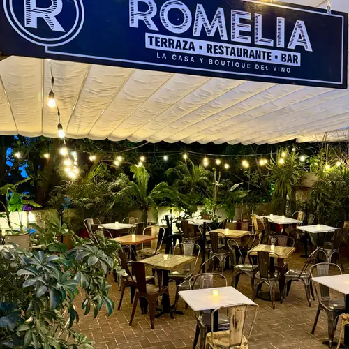 BAR ROMELIA CDMX - foto 1