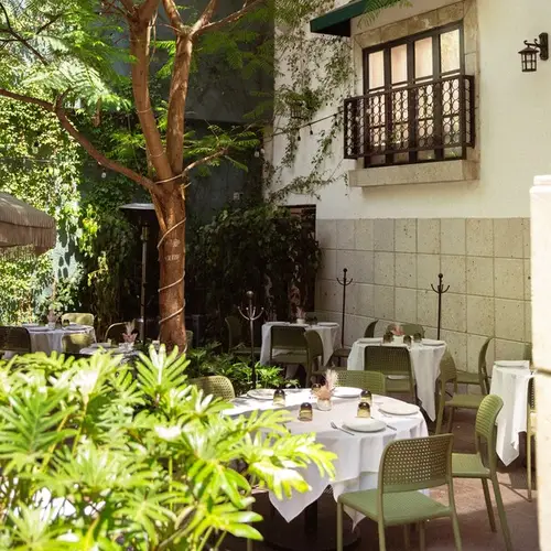 Jardín Alba Lomas - foto 1