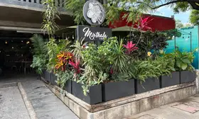 Mirthala Coffee Bar Suc Los Arcos