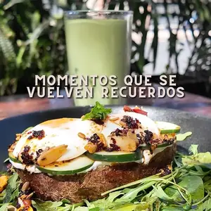 Mirthala Coffee Bar Suc Los Arcos 8