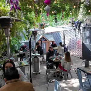 Mirthala Coffee Bar Suc Jardines de la Hacienda 4