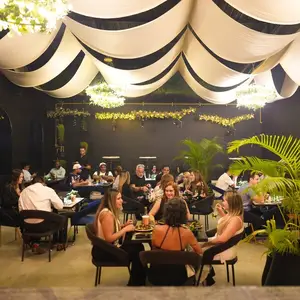 Selva Negra Panamá 6