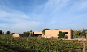 RAIGAL Restaurante en Viñedo Cuna de Tierra 
