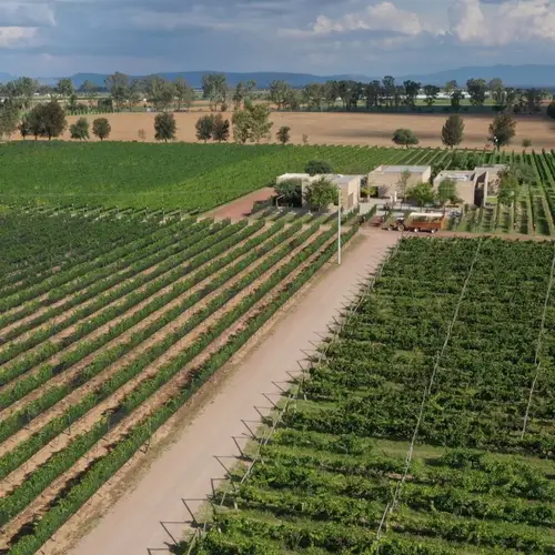 RAIGAL Restaurante en Viñedo Cuna de Tierra  - foto 1