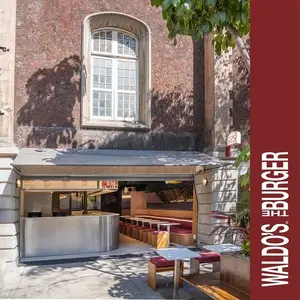 Waldos The Burger Roma Norte 9