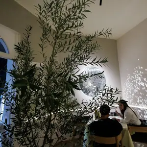 Naufragante Restaurante Roma 9