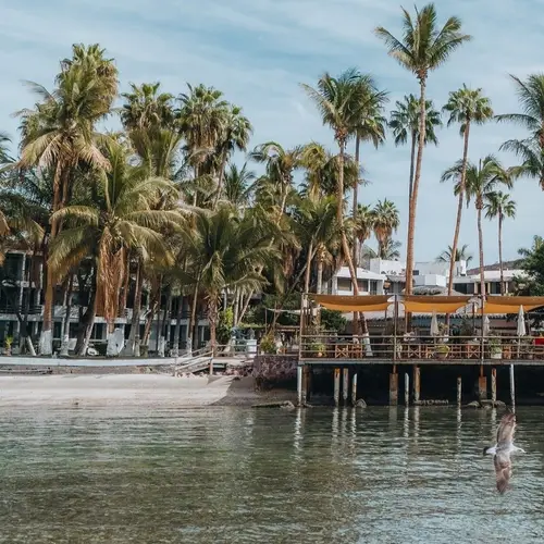 Jardín Escondido Beach Club La Paz - foto 1