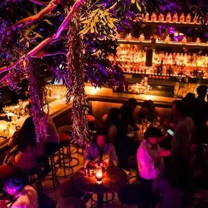 Scotch Polanco 1