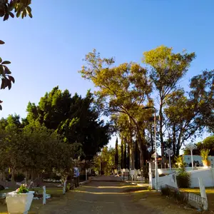 Ex Hacienda El Cimarrón León 4