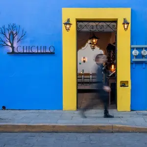Chichilo Oaxaca  1