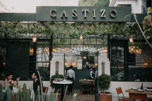 Castizo Condesa  1