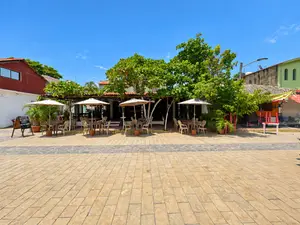 Bacco Zipolite 5