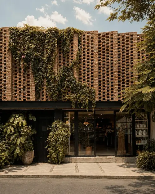FORÊT Celaya - foto 1