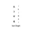 Ikigai San Ángel